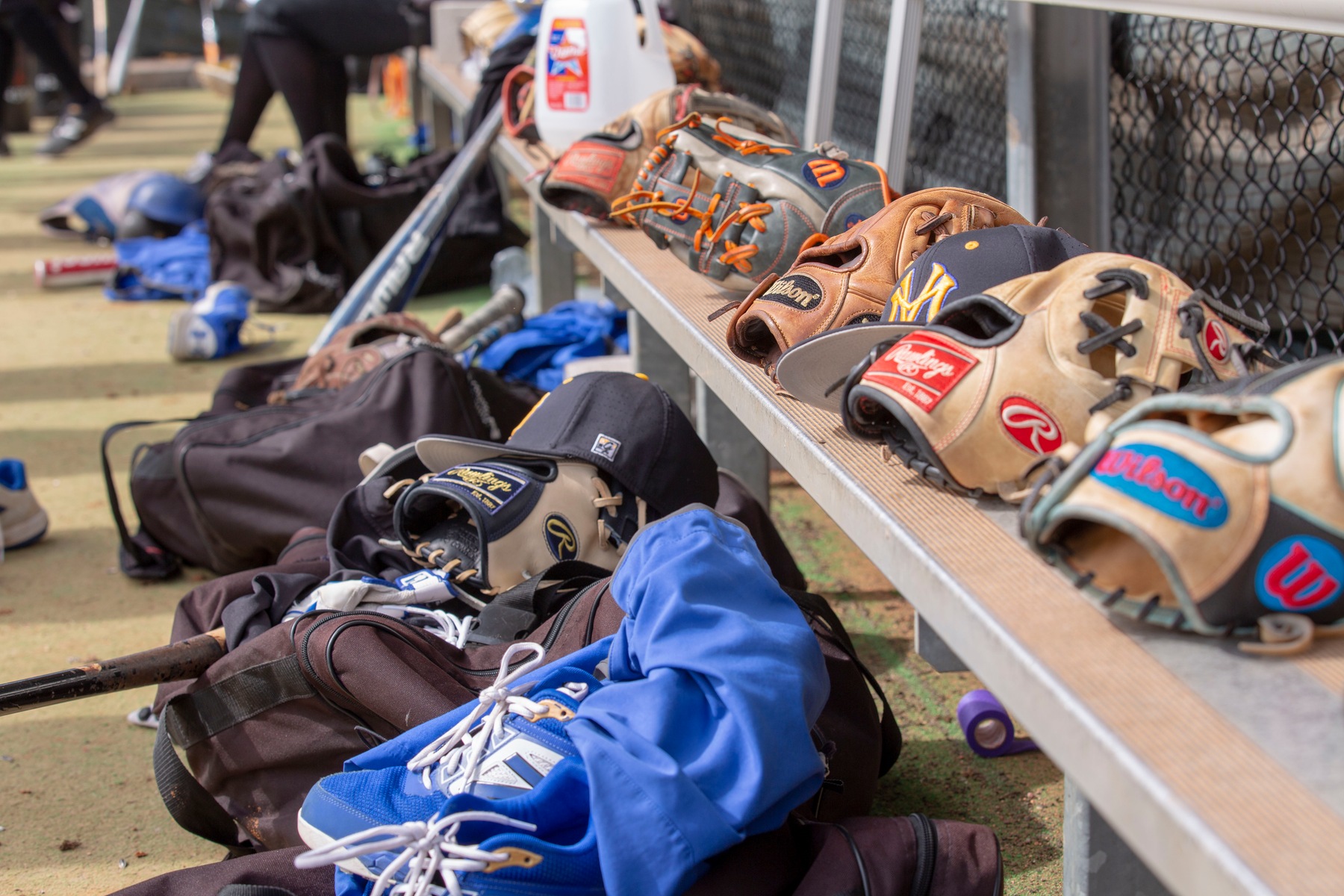 Baseball Mountain View College Baseball Mountain View College
