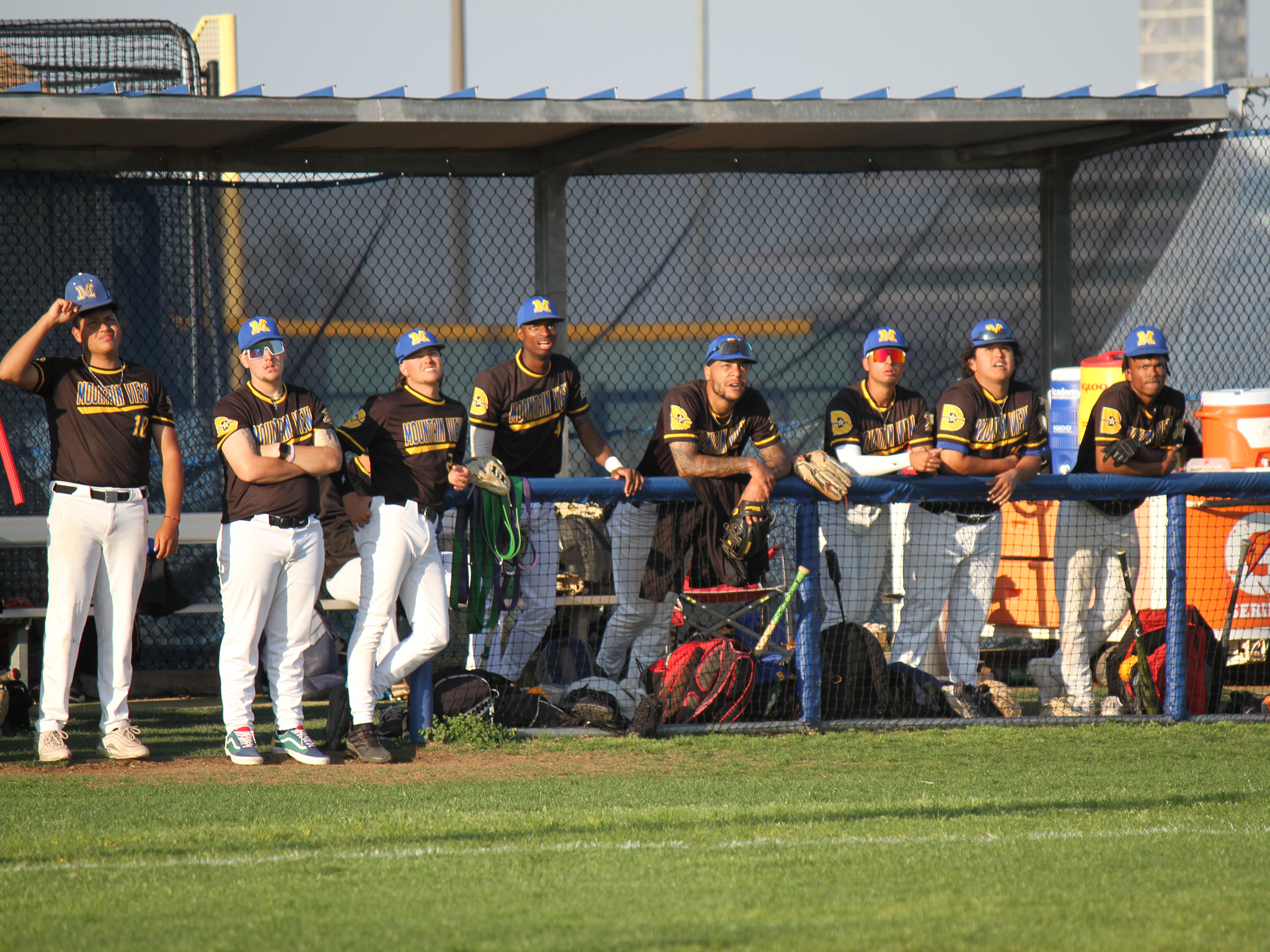 Lions Open Baseball Season Feb. 5
