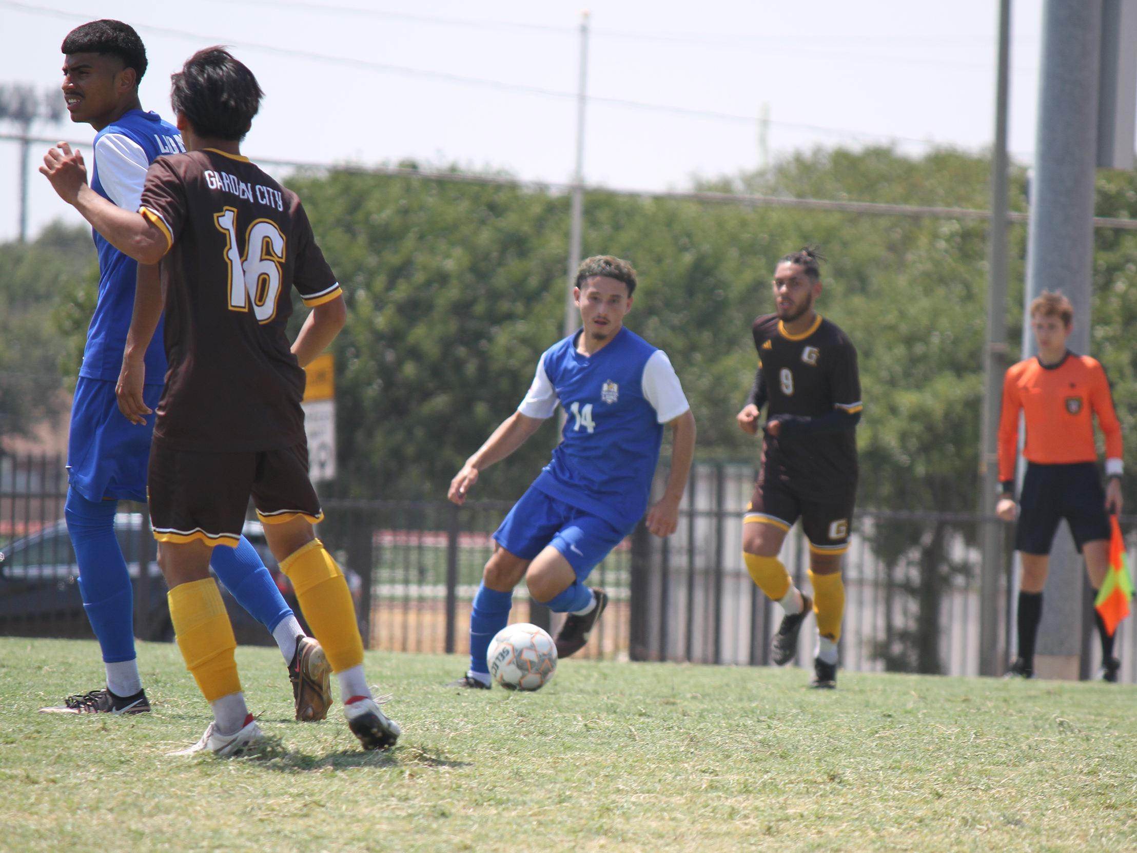 Lions Begin DAC Play Wednesday