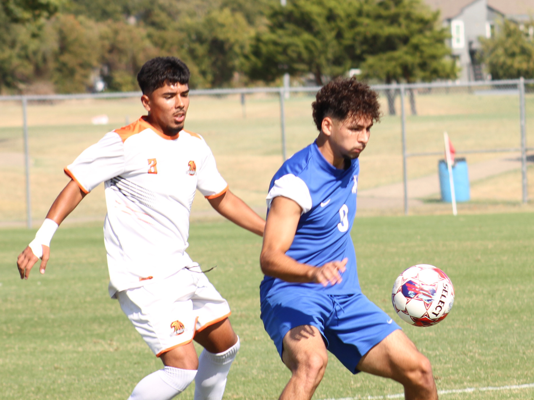 Velasquez Named DAC Offensive Player of Year, Lions Earn 7 Honors