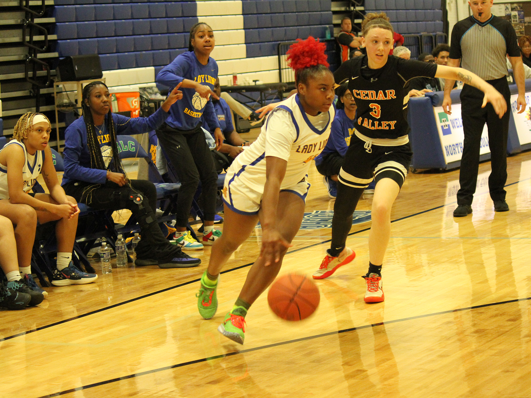 Lions Open NJCAA Tournament Wednesday in Rochester, Minn.