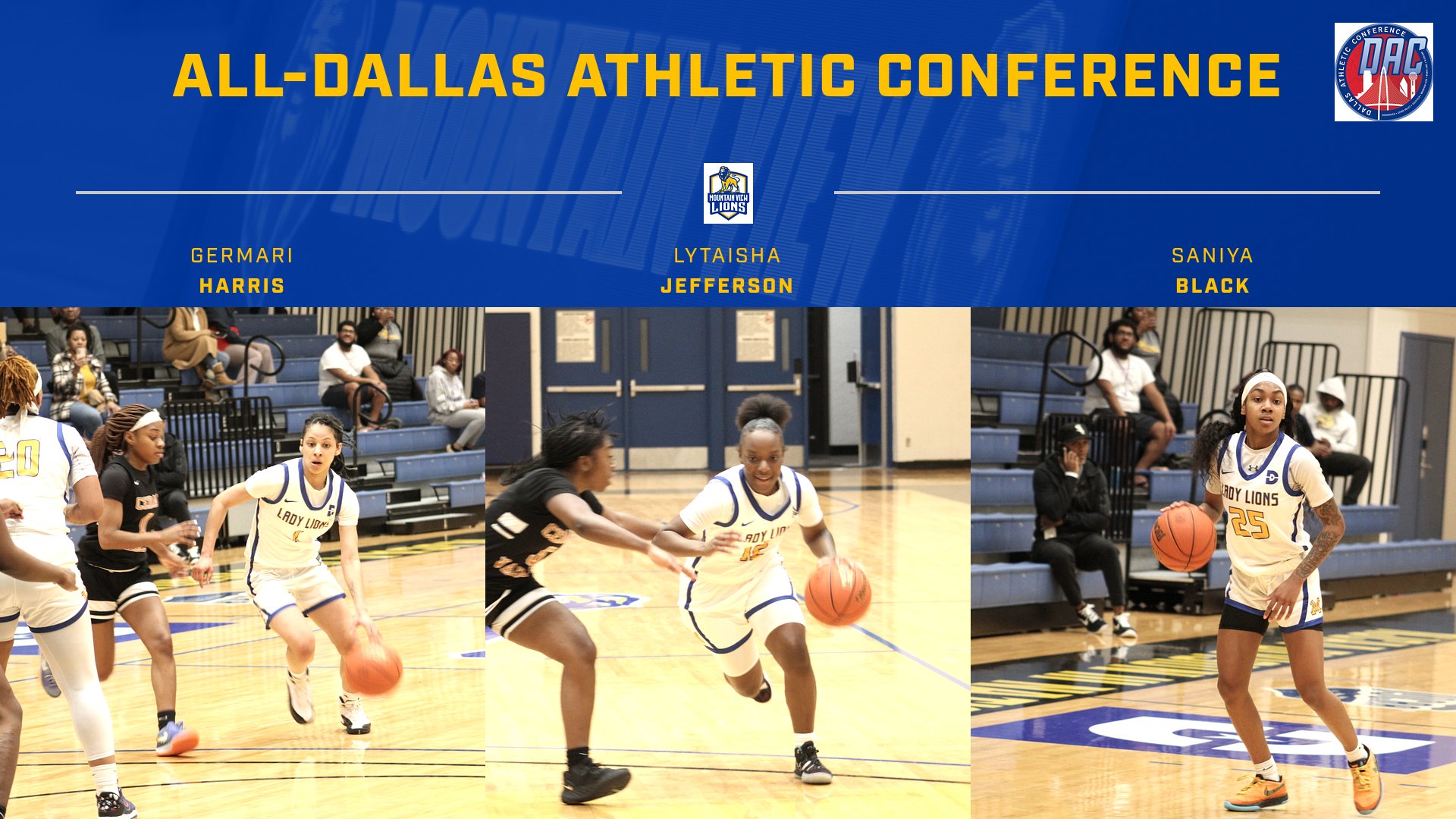 Mountain View Places Three on All-DAC Teams, Harris Newcomer of Year
