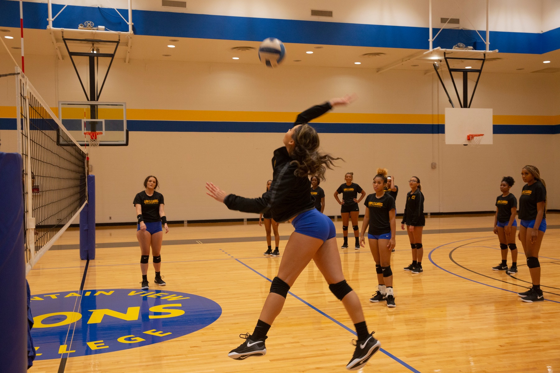 Number three Miriah Williams spiking the ball.